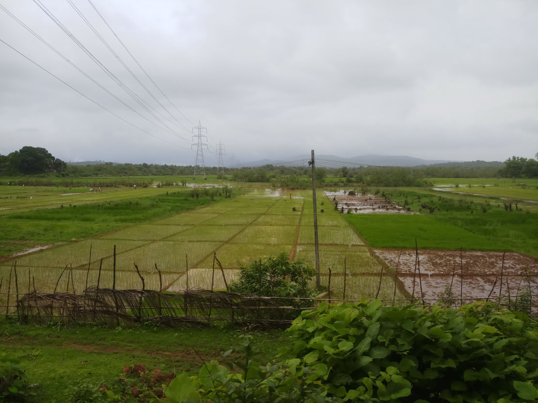 Agriculture, Hands to help